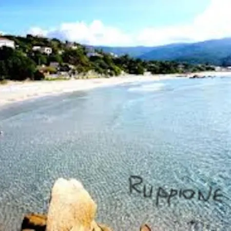 Apartment Location Porticcio