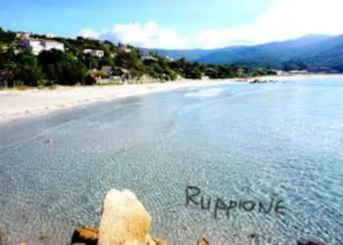 Lägenhet Location Porticcio